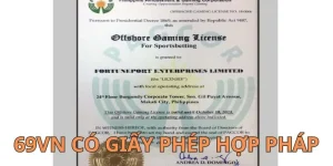 giấy phép hợp pháp về 69vn